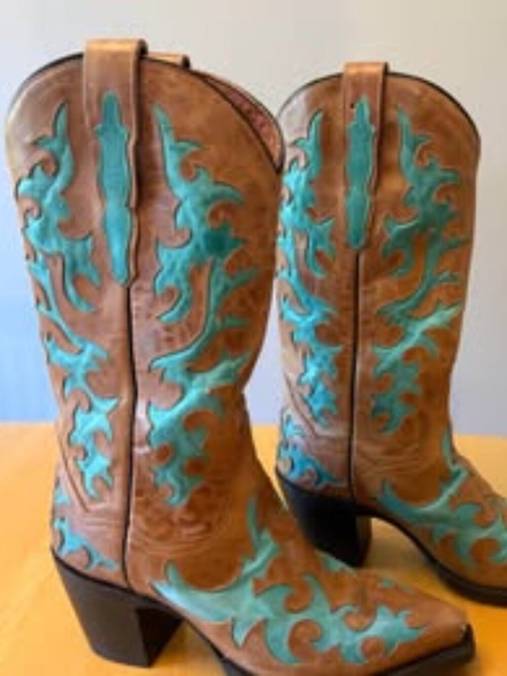 Dan Post Wester Boots